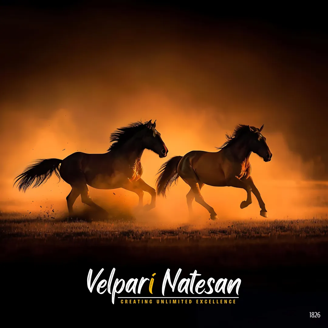 Horses heal through movement. Leaders grow by taking action, not staying stuck