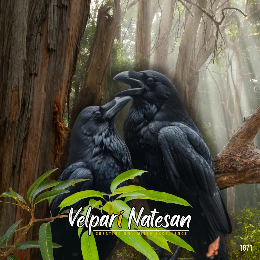 CROWS keep their young as helpers & train. Leaders lead by empowering others
