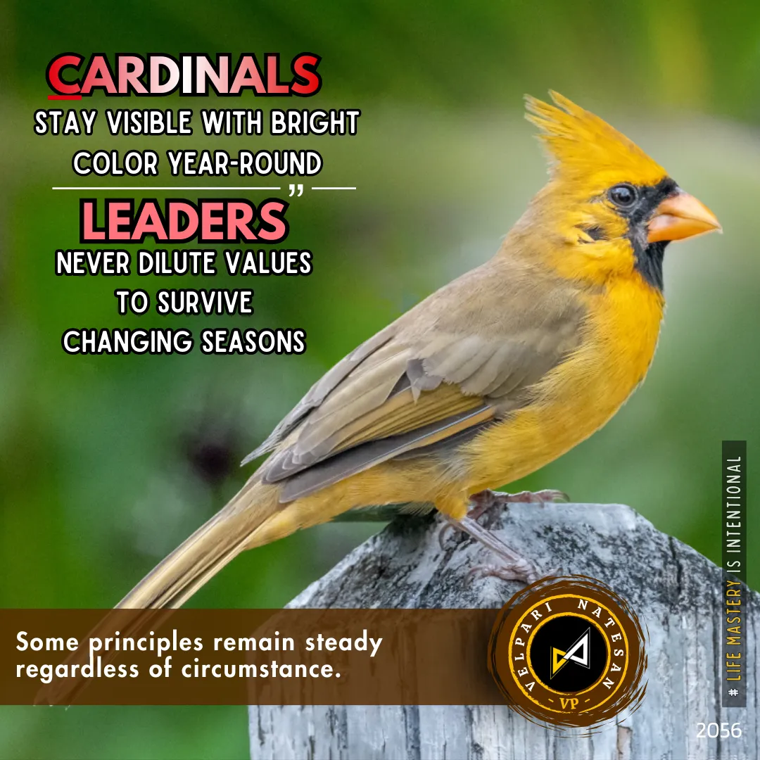 Values That Do Not Fade