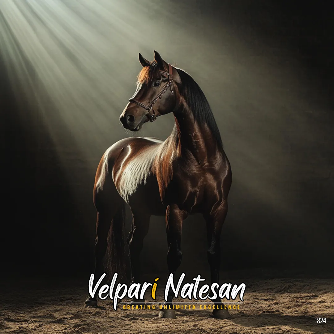 Horses can sleep standing up. Leaders stay alert even in rest