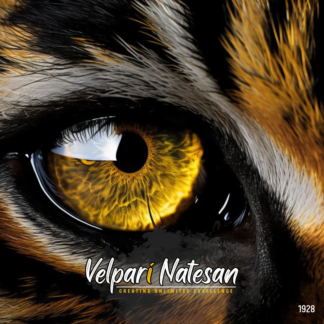 Seizing the Big Opportunity: Lessons from the Tiger