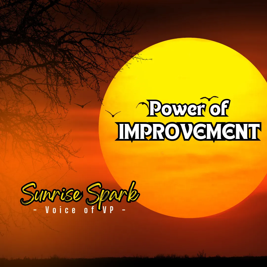 P.O.IMPROVEMENT