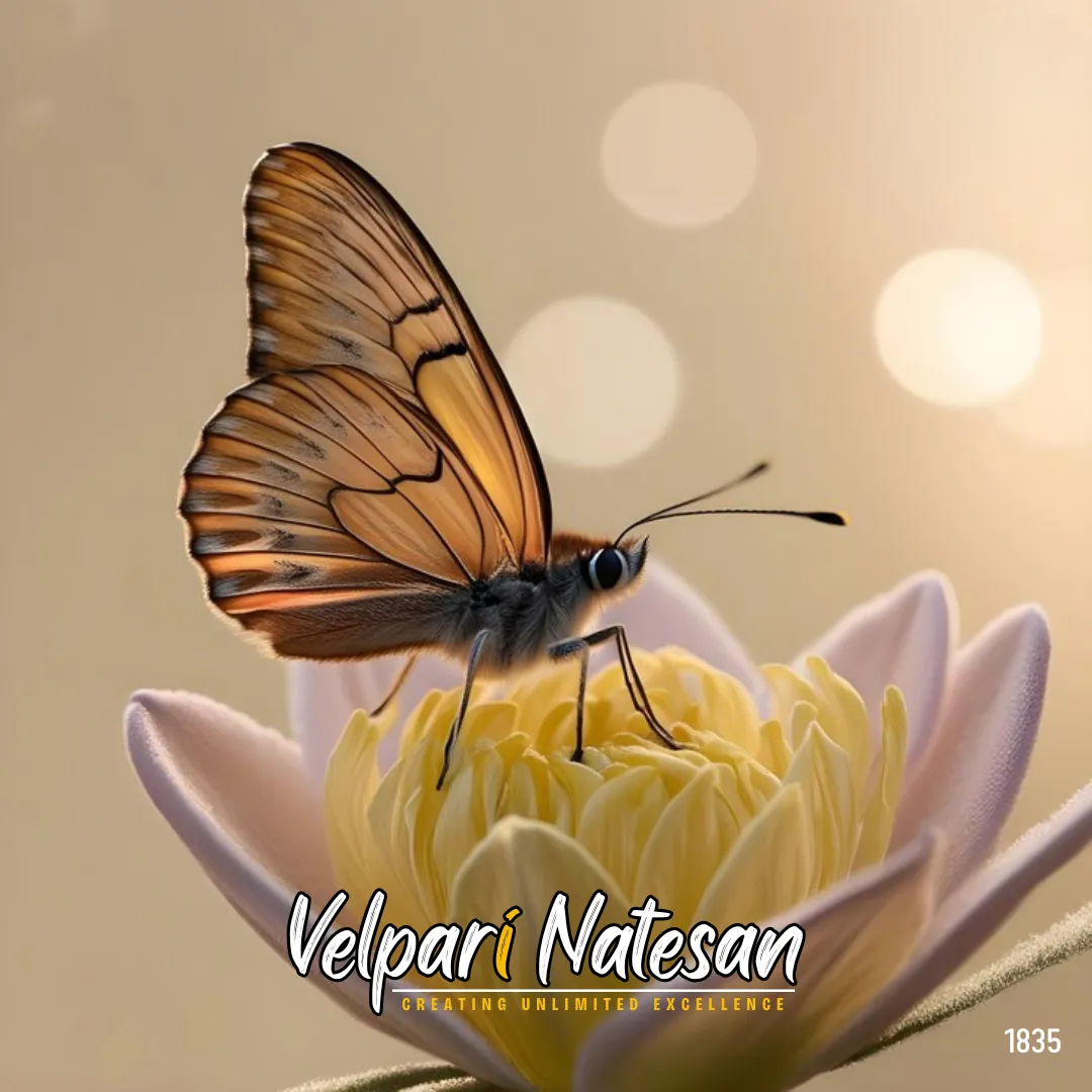 "The Power of Quiet Influence: How Butterflies and Leaders Foster Growth"