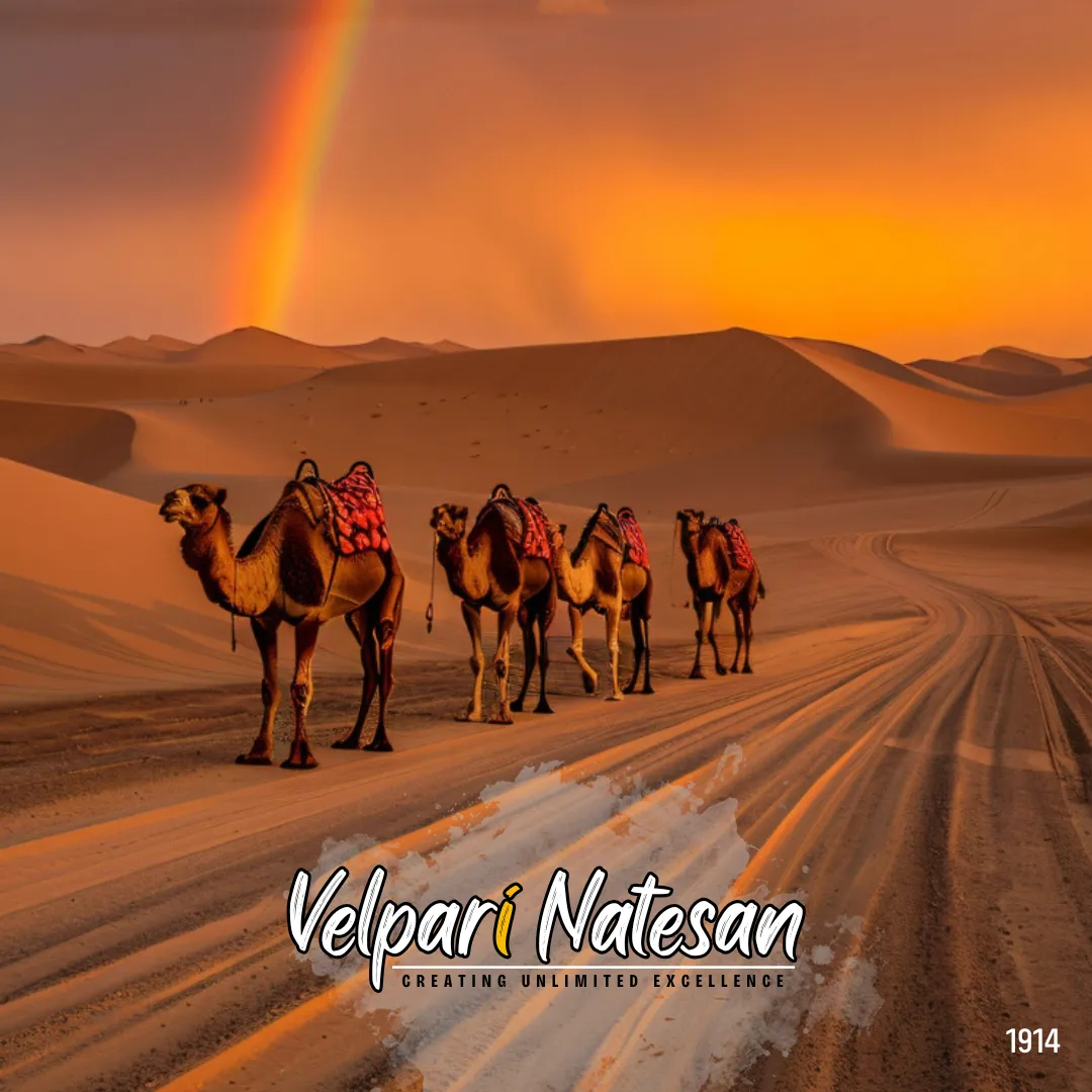Adapt Before the Storm: Lessons from the Desert